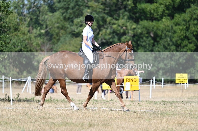 WJ7_9988 - Time 11:03 to 11:28