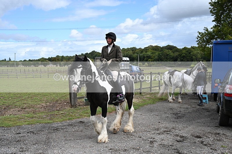 WJ7_6767 - Berks & Bucks at Blandy’s Farm 31-08-25