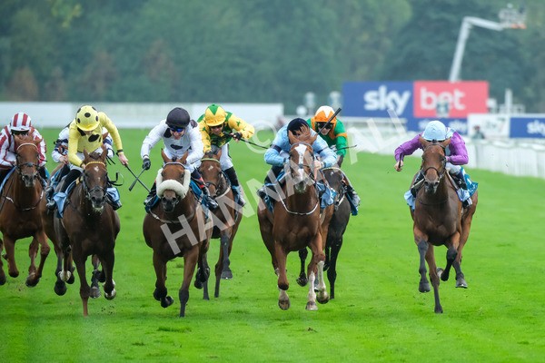 080925-Race 6-Rhapsody-9591 - Race 6 5.00pm Sky Bet Build A Bet Fillies' Handicap