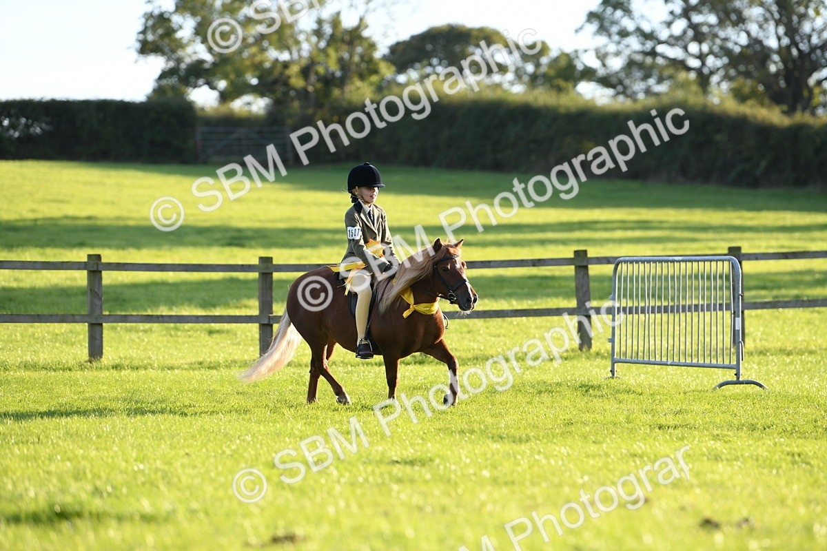 SBM_54190 - S23 - 1st Ridden Mountain & Moorland Pony