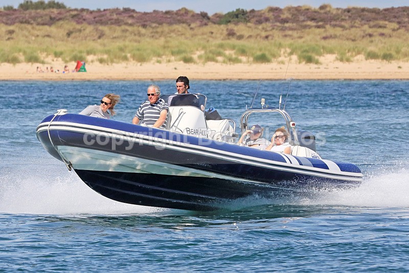 170813 BEAR ALL - COBRA RIB 1Y3A3263 - RIBs, Tenders, Dories, Dinghies