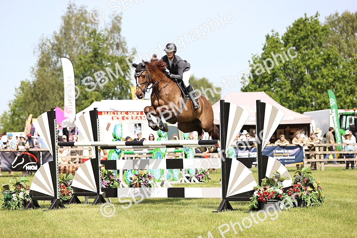 SBM_03187 - Class 201 - British Horse Feedds Speedi Beet HOYS Grade C