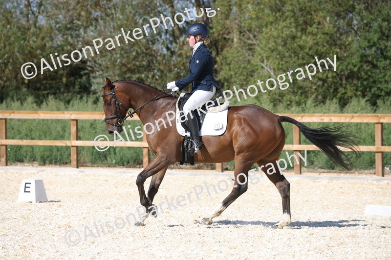 20260905-1492 - Class 5 - Novice 2