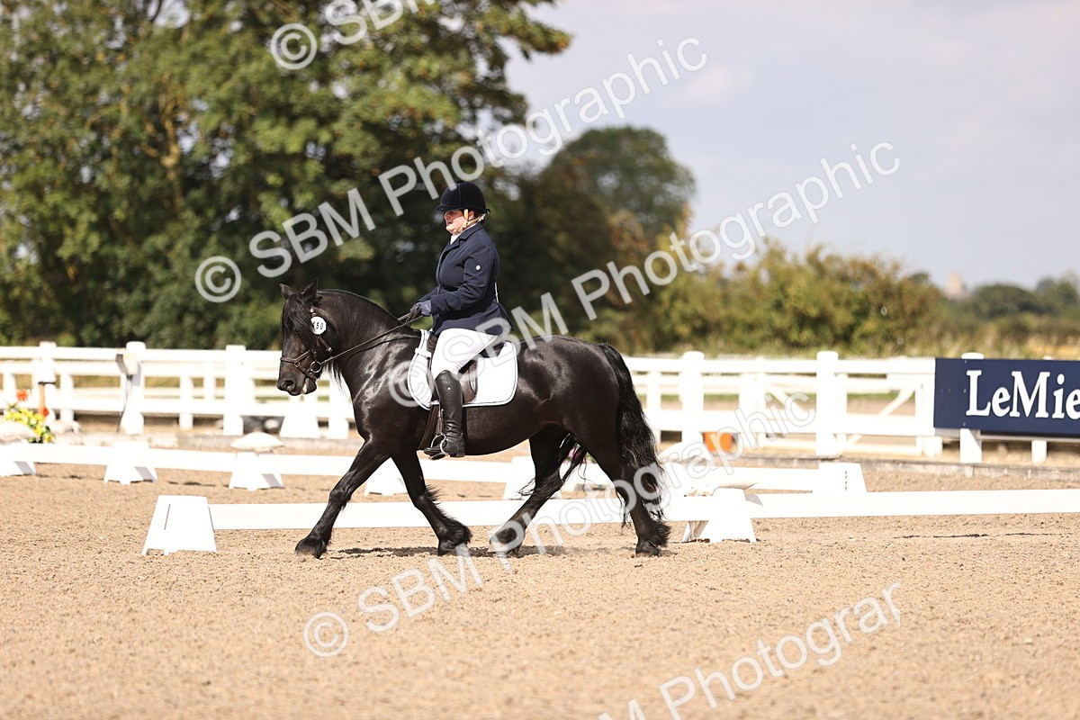 SBM_03695 - CLass 35 Intro 3