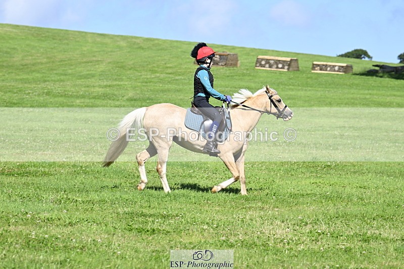 240728B-101900-00629 - Theo's Group XC