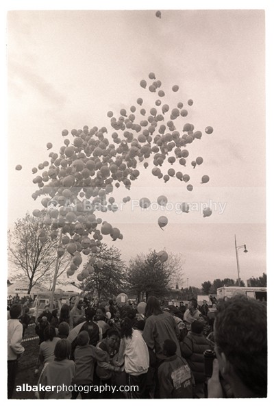 846 - Hulme Gallery (d)