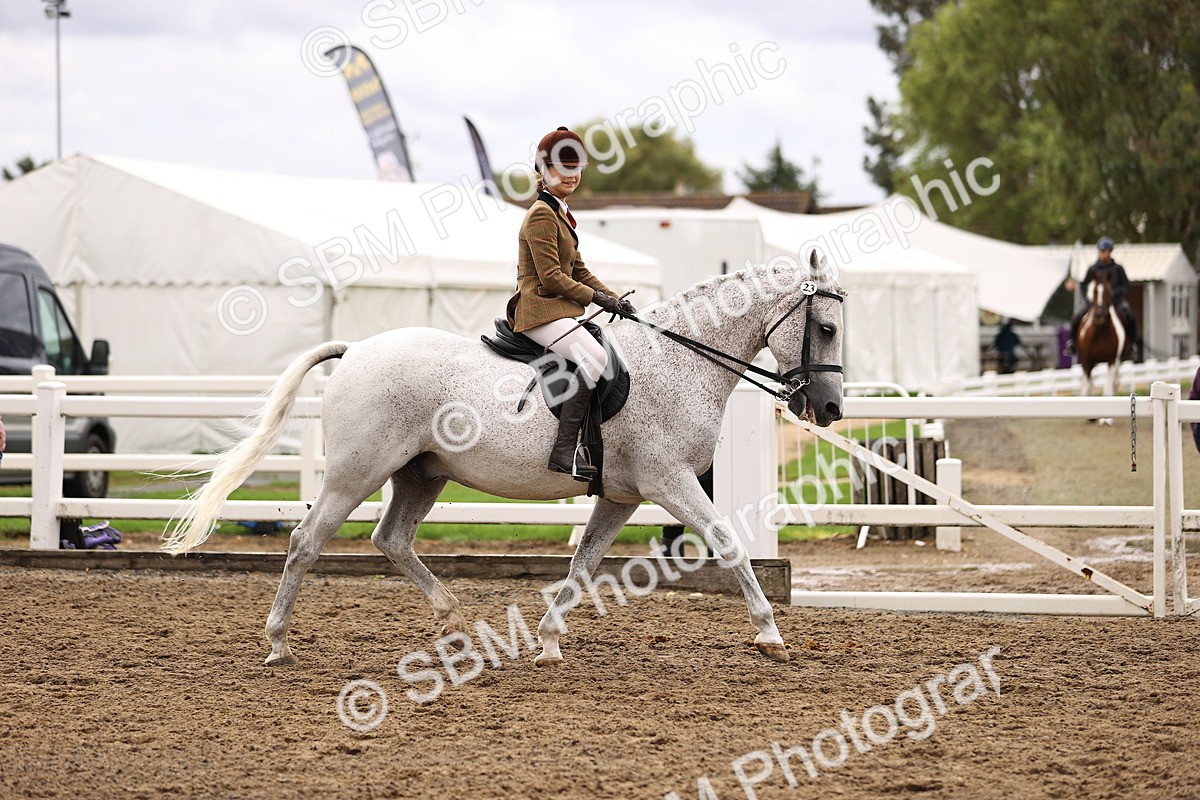 SBM_00542 - Class 53 - Ridden Competition Horse Pony