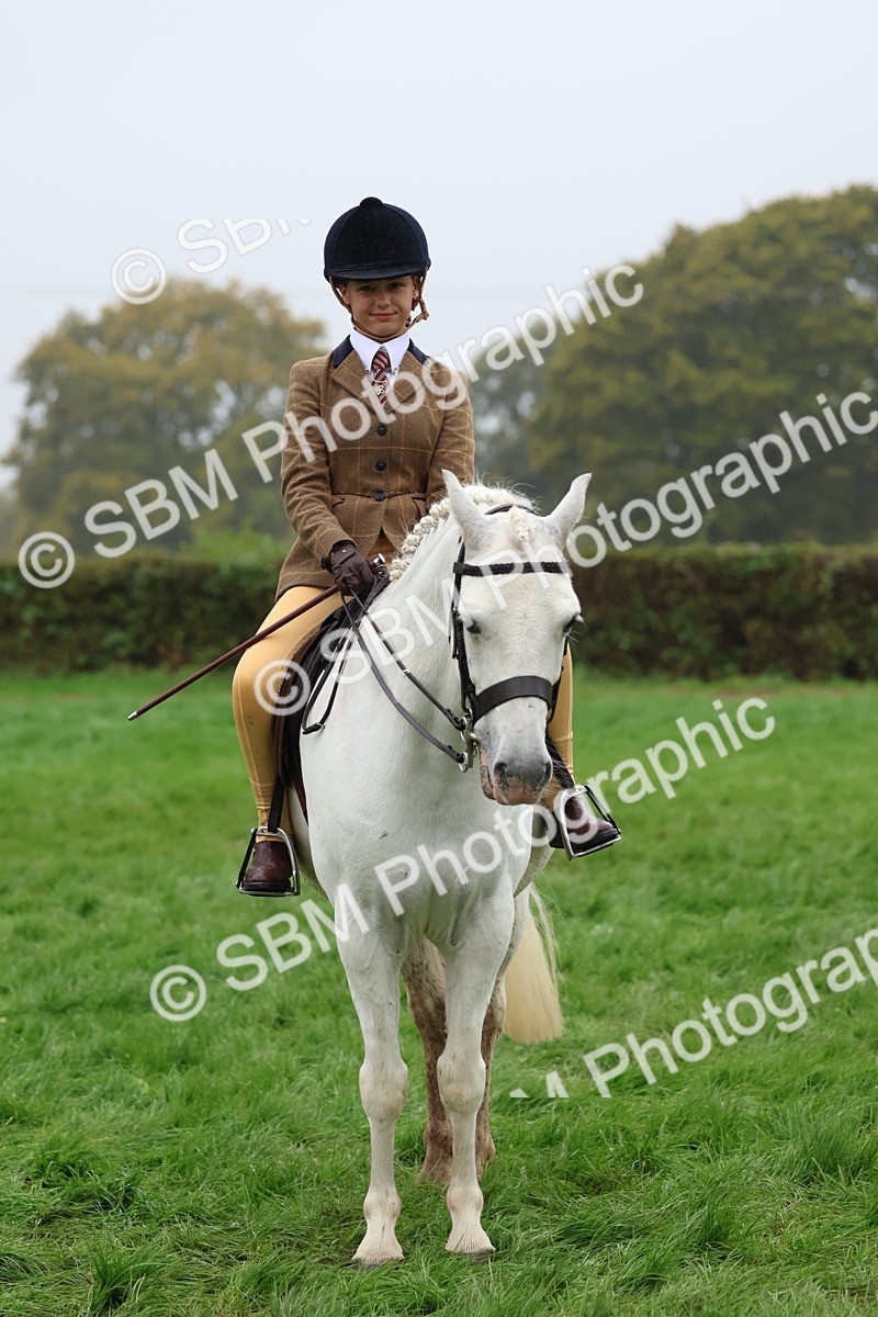 SBM_73068 - S63 Show Pony & Show Hunter Pony Ridden