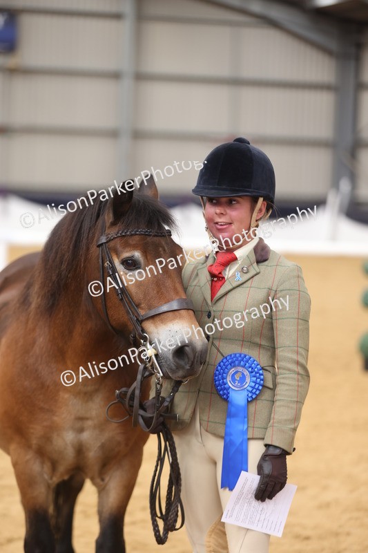 20260913-1735 - Class 115 - Gelding 4years and over