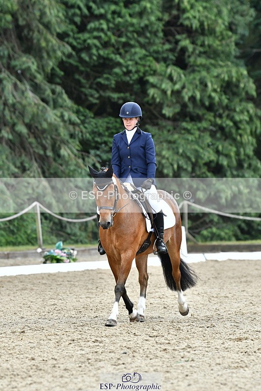 260801A-125611-04094 - Prelim Bronze Break - End