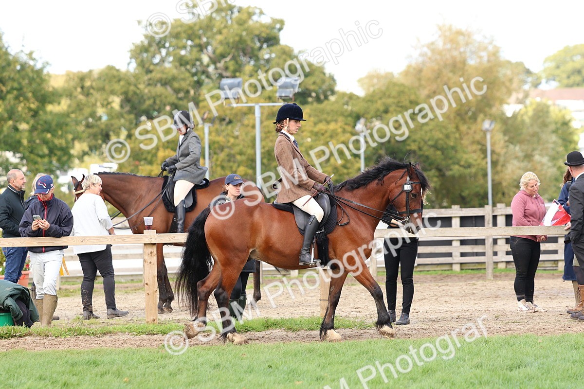 SBM_47603 - S28 - Veteran Ridden