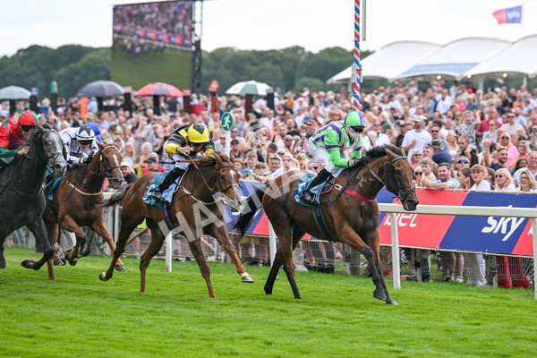 260725-Race 6-Billyb-7892 - Race 6 4.25pm Sky Bet Go-Racing-In-Yorkshire Summer Festival Handicap