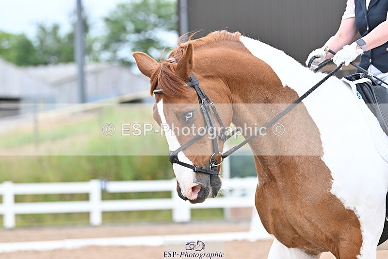 240623A-121632-18213 - Cls 49 Music Novice