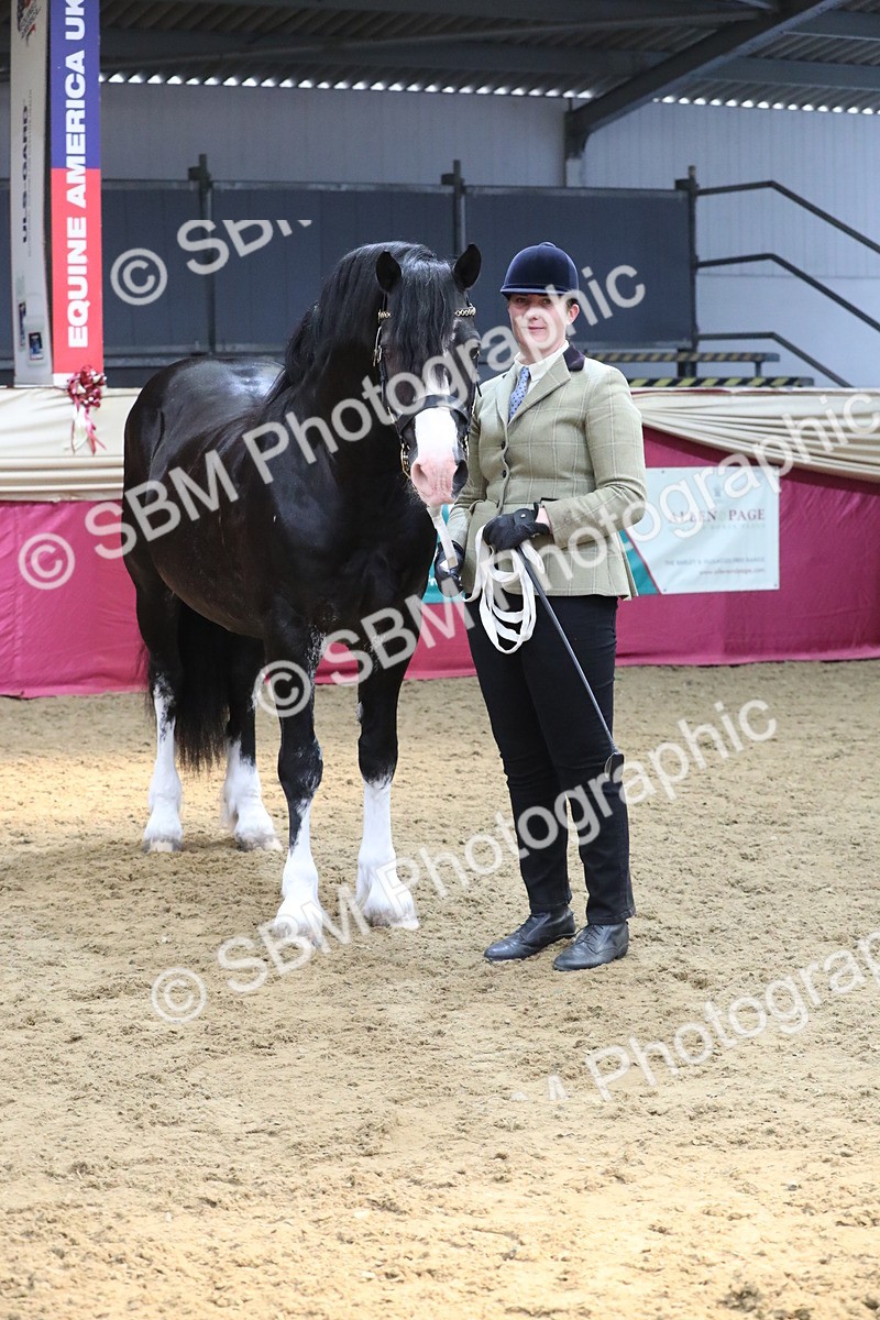 SBM_15389 - Class 501 M&M IH Supreme Final