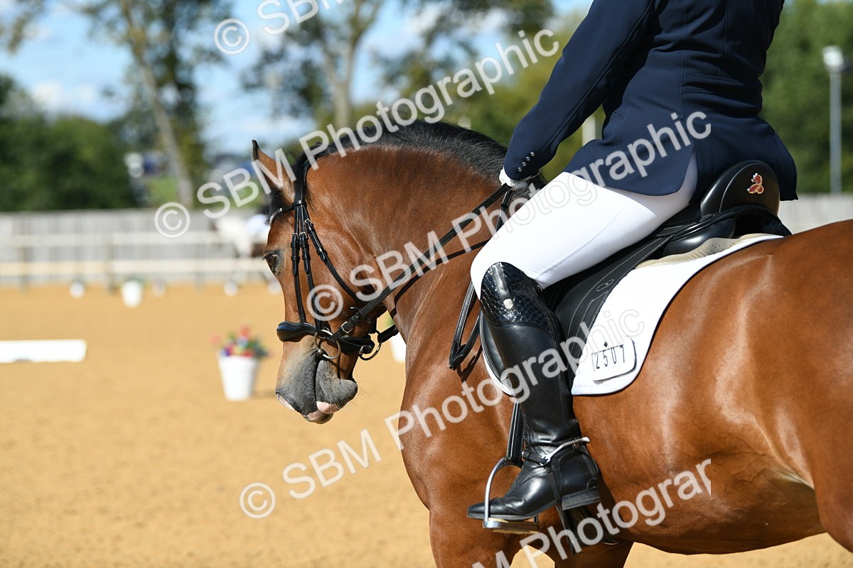 SBM_25013 - D13 - Grand Tour Championship - Prelim 12