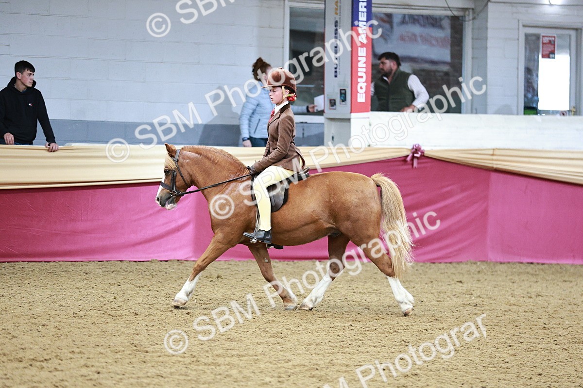 SBM_03575 - Class 6A Area Ridden Pre-Vet