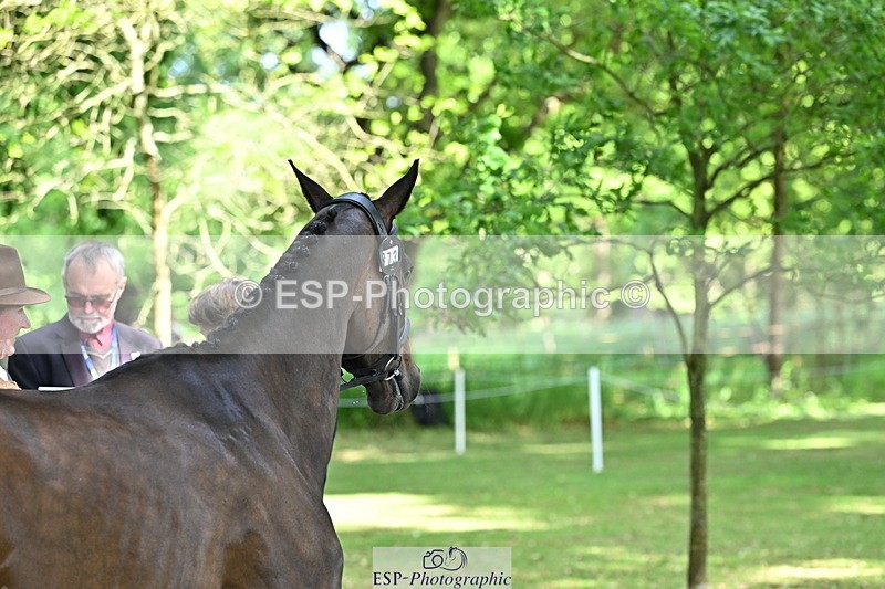 250521A-155125-00804 - B-373-Ben.Lee.Liles-FINCH.FANCY