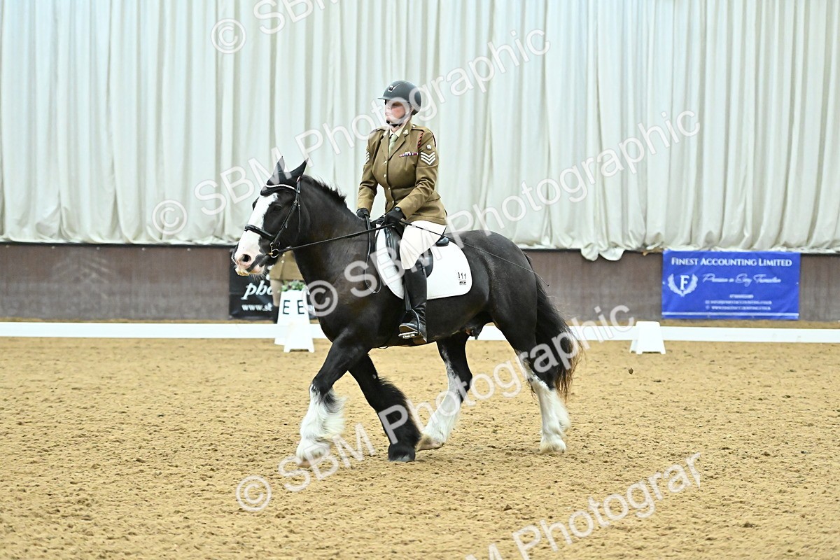 SBM_007454 - Class 81 - Novice 3