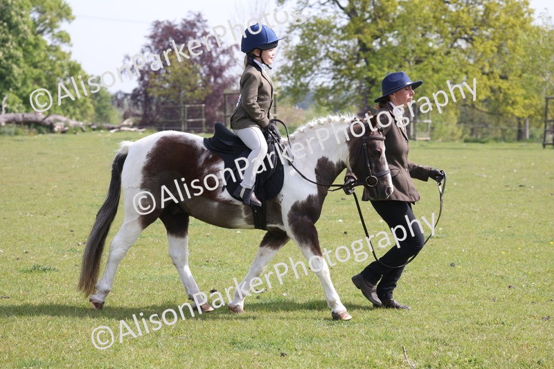 20260426-0599 - Class 31 - Leading Rein