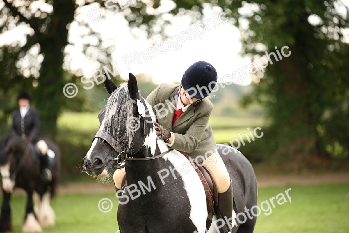 SBM_73574 - S68 - Traditional Cob Ridden