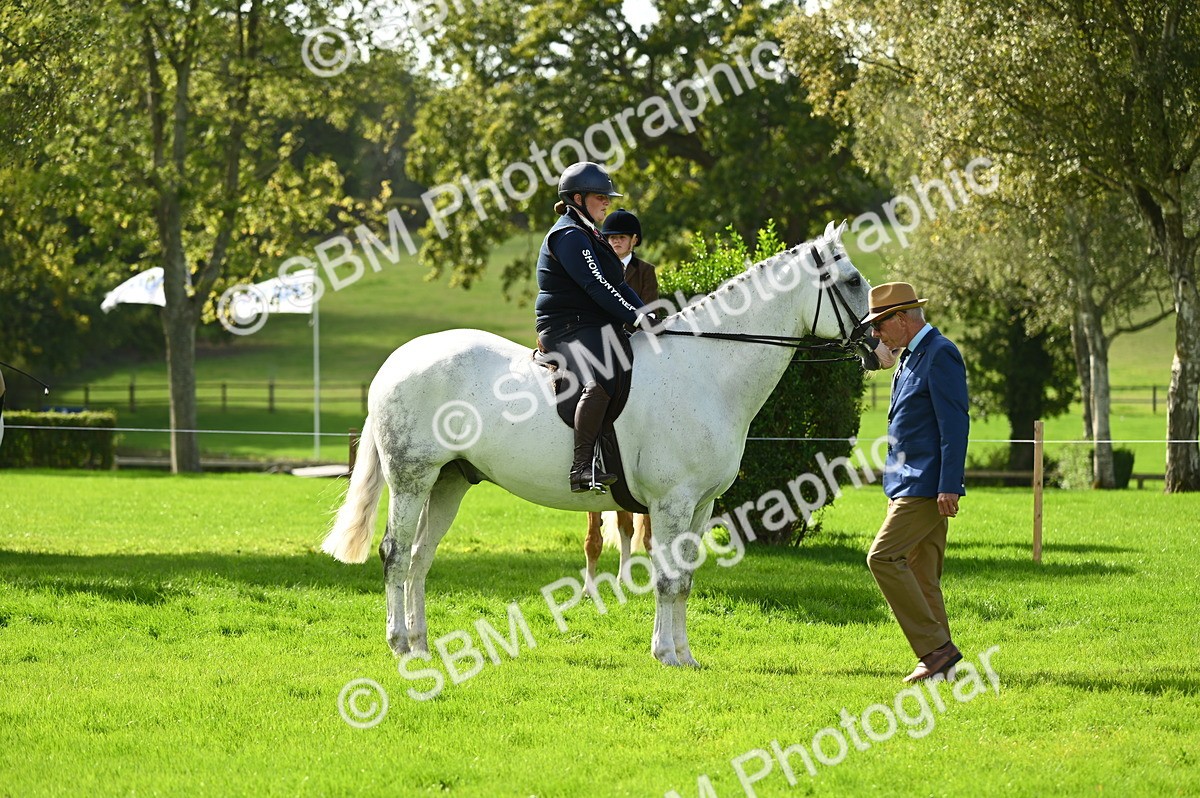 SBM_01799 - S2 - TSR Ridden Horse Showing
