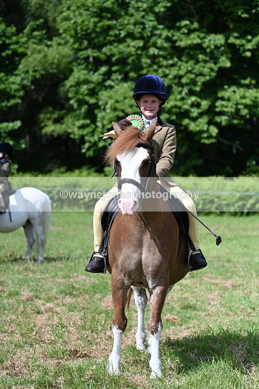 WJ7_0863 - Class 8 First Rally Pony