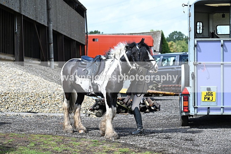 WJ7_7439 - Berks & Bucks at Blandy’s Farm 31-08-25