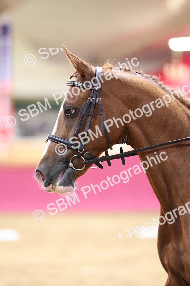 SBM_09442 - Class 51 Dressage to Music