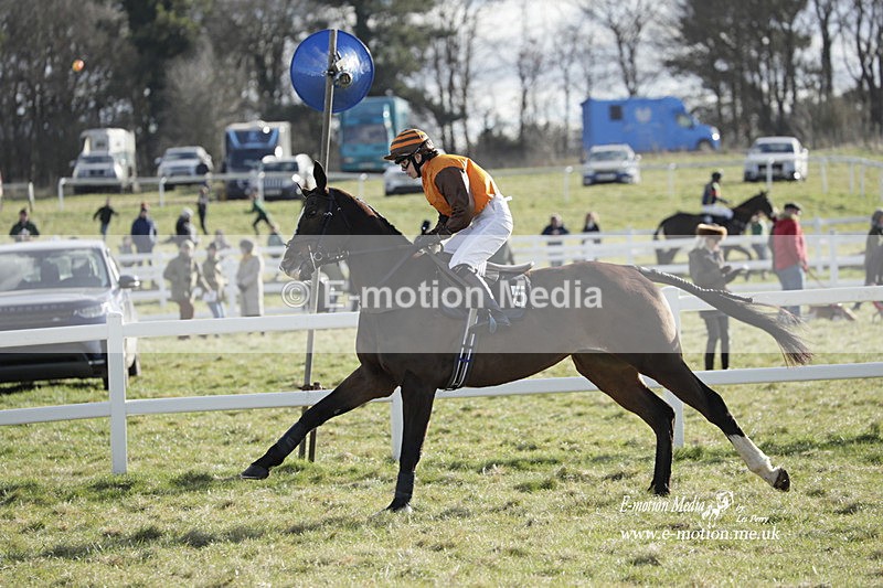 PtP 260223 898 - South & West Wilts Point-to-Point Larkhill 26/02/23