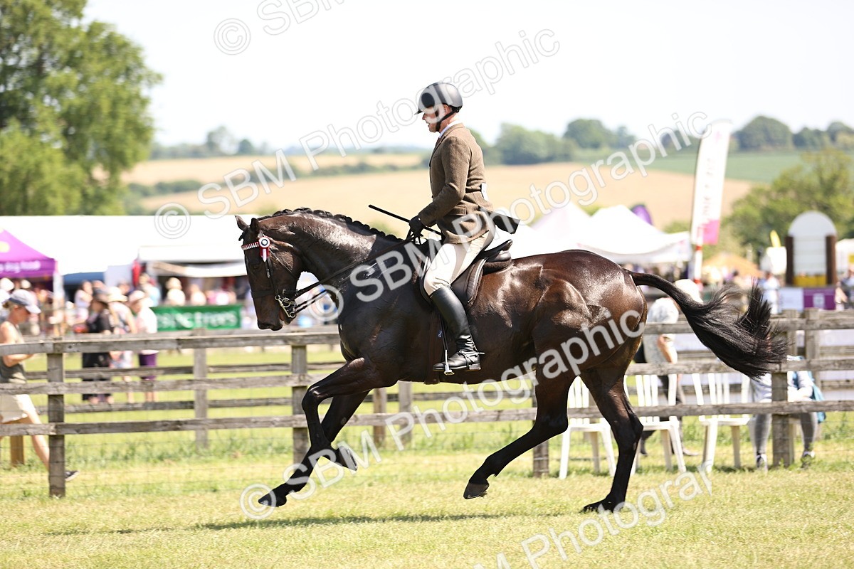 SBM_14929 - Class 78 - LIHS BSHA Open Racehorse & Show Horse