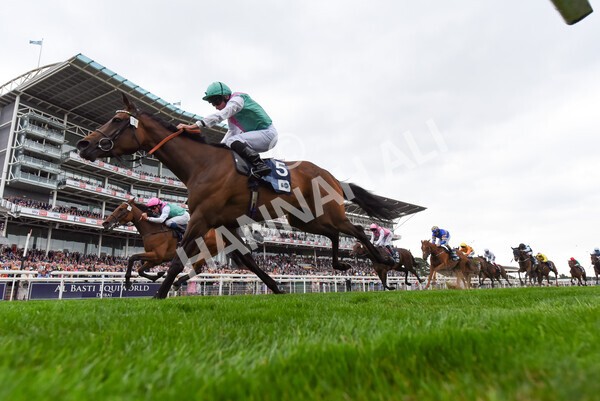 yr18082022r5-24 - Race 5 4.10pm British EBF & Sir Henry Cecil Galtres Stakes