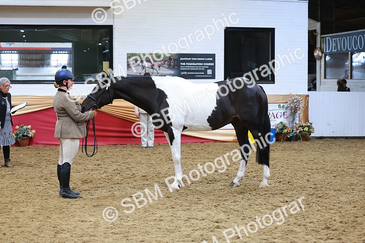 SBM_09797 - Class 102 - HOYS Veteran Qualifier - Ridden Veteran
