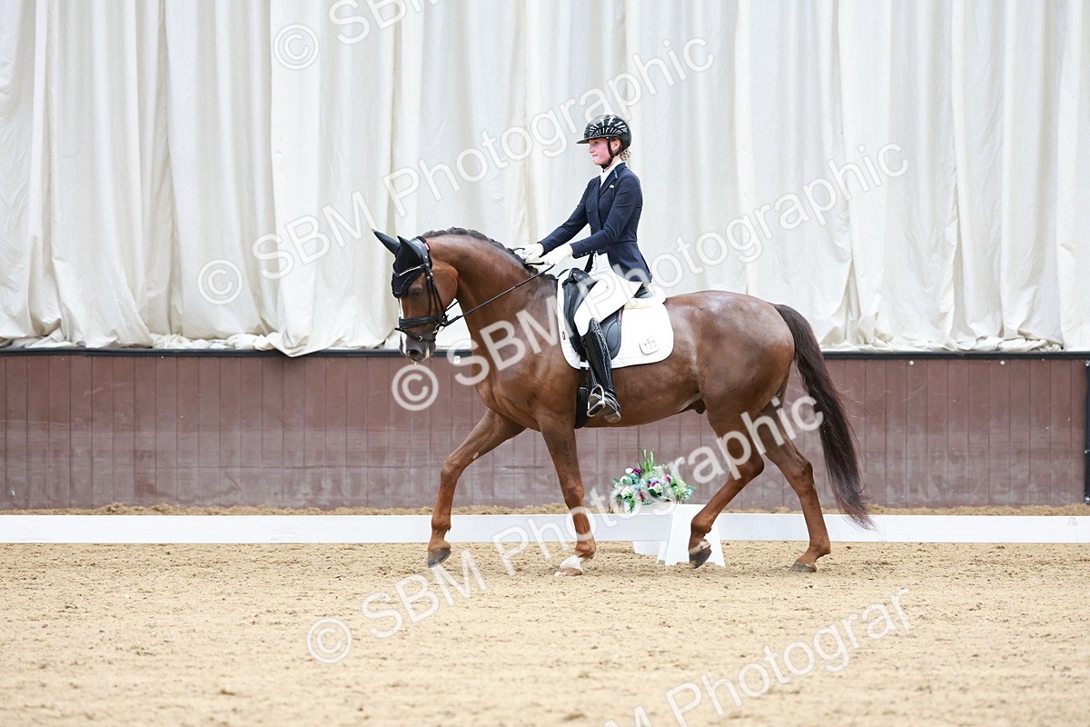 SBM_017977 - Class 15 - FEI Junior