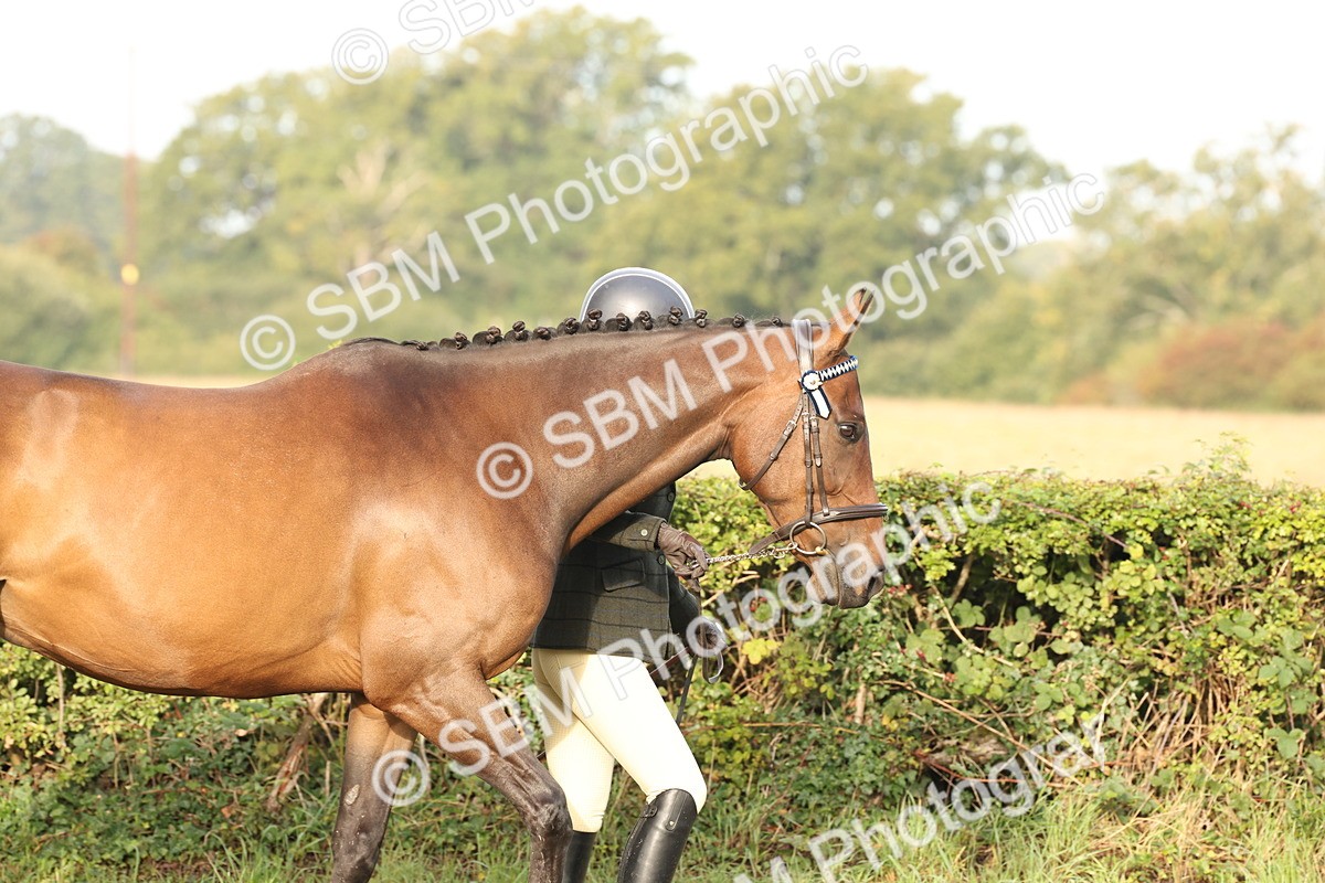 SBM_54655 - S53 - Hunter In Hand