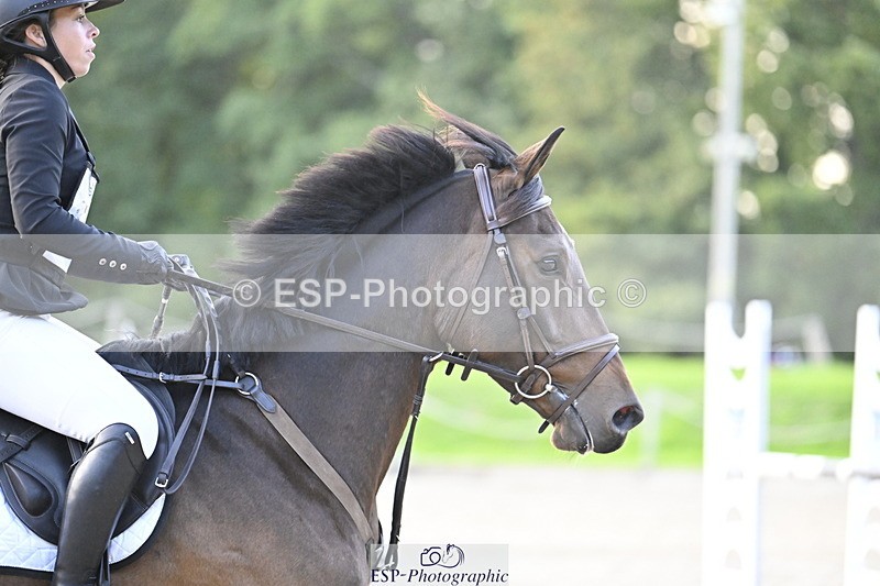 251005A-180104-05532 - Cls 12 Adv 1.10m Ind