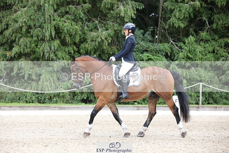 230812-150833-05056 - Cls 5 Novice Bronze 15.00 to End