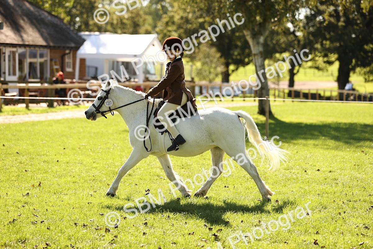 SBM_19265 - S3 - TSR Ridden Pony Showing