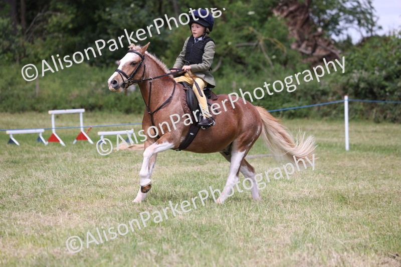 20260614-2043 - Class 21 - Novice Working Hunter Pony
