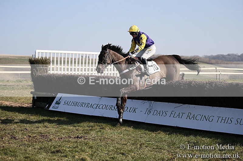 PtP 240218 283 - Vine & Craven Hunt Point-to-Point Barbury racecourse 24/02/18