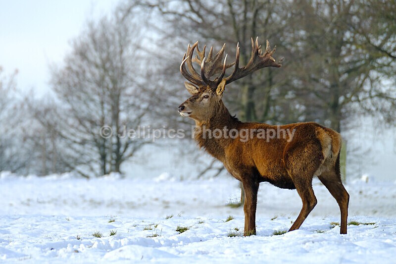  - Wildlife and Nature