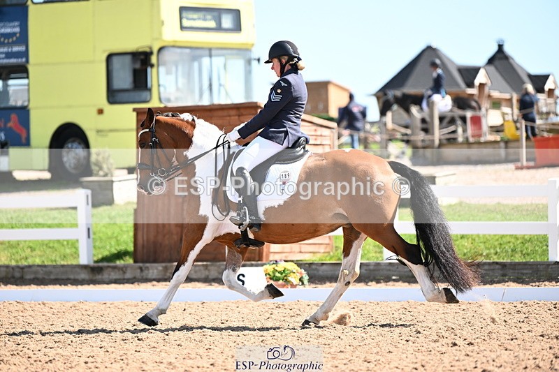 240816A-110616-03991 - 189-Mel.Day-Dolderwydd.lucky.Maisie