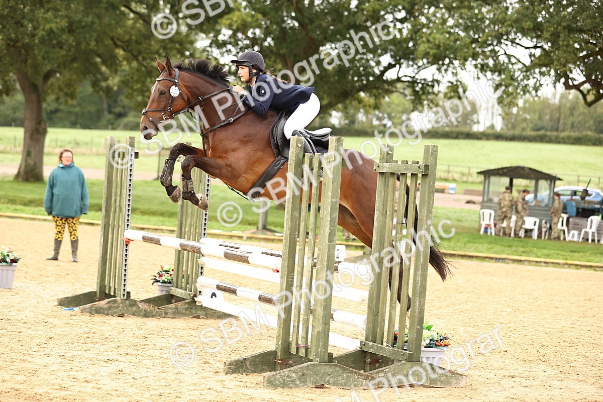 SBM_58368 - J41 - Grand Tour Horse & Pony 95cm