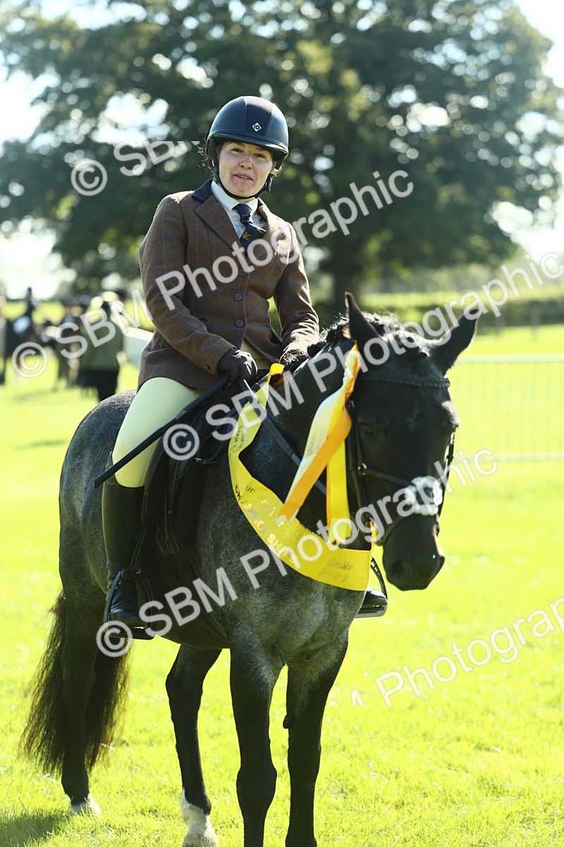 SBM_39098 - S29 - Novice & Newcomers Working Hunter Pony