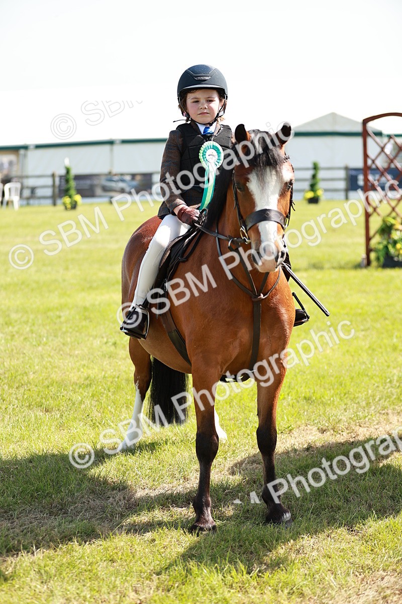 SBM_12814 - Class 106-107 - BSPS LIHS Working Sports Pony