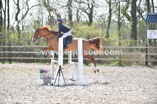 BPP_4650 - CLASS 12 BritiNovice/ 90cm Open