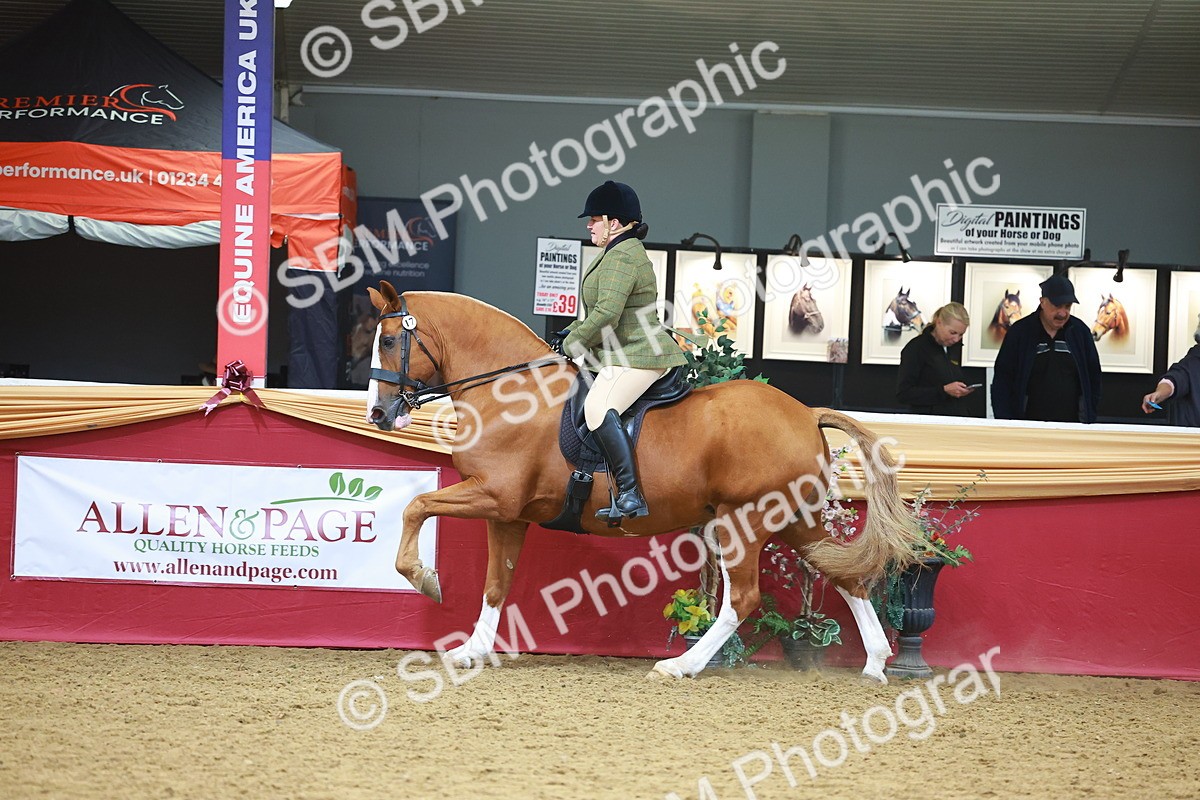 SBM_06118 - Class 12R - Ridden Pre-Vet