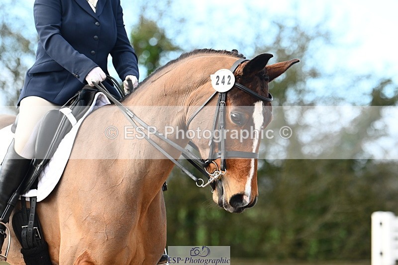 240218A-144148-08724 - 242-Alex.Robinson-Barr-French.Affair