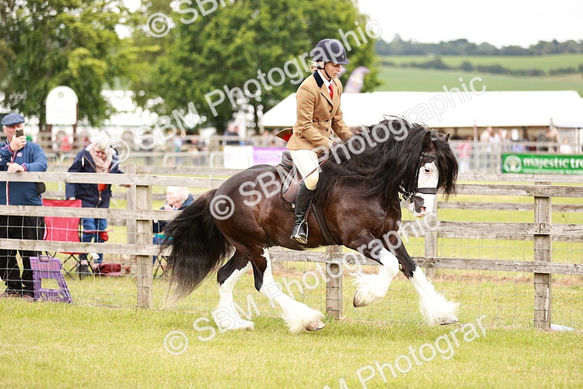 SBM_06125 - Class 39-41 TGCA In Hand and Ridden