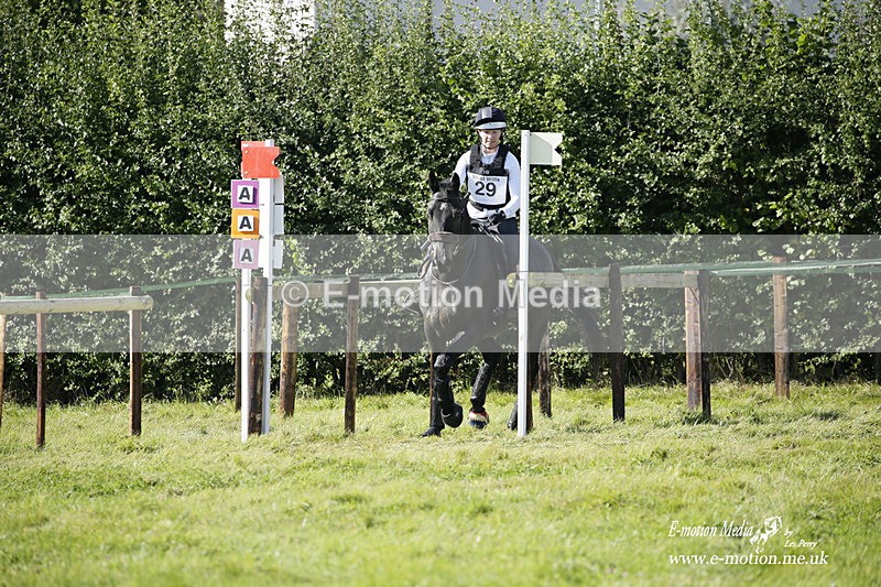  WWHT 031021 1525 - Open Novice (0.80m) 03/10/21