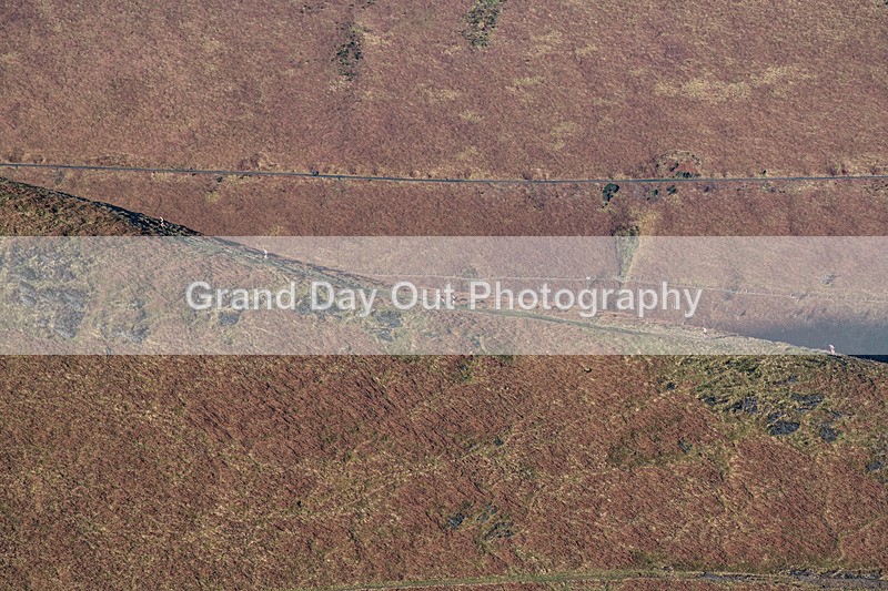 Kong SOB-12 - Kong S.O.B. Fell Race Saturday 1st February 2025